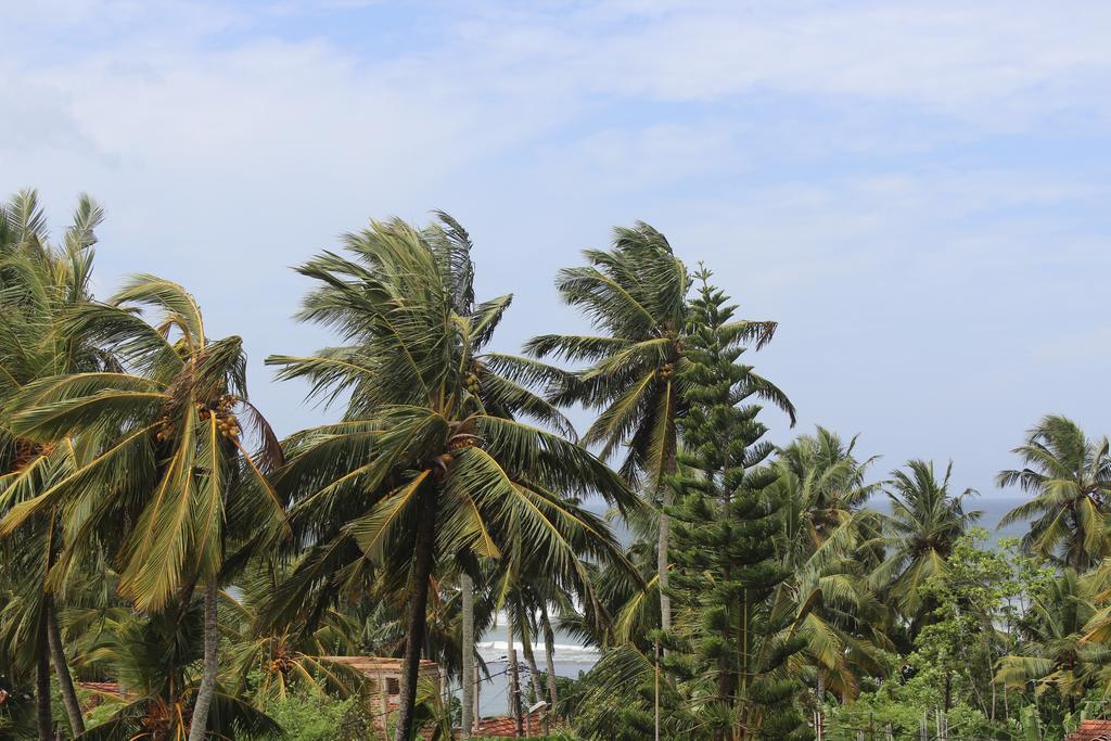 Lion Palace Weligama Dış mekan fotoğraf